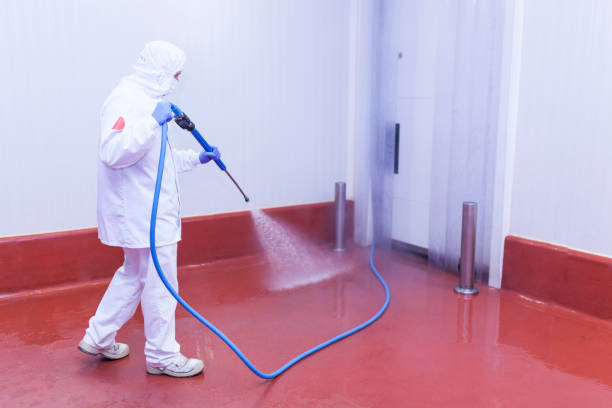 Best Sidewalk and Walkway Cleaning  in Jesup, GA