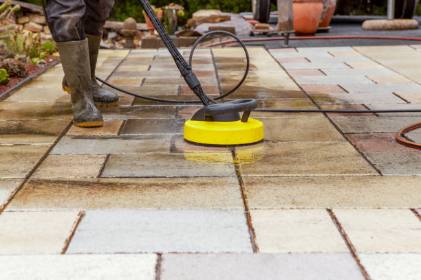 Best Solar Panel Cleaning  in Jesup, GA
